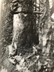 Base: sans contreforts. Fût: droit cylindrique, long 15 m diamètre 1 m.