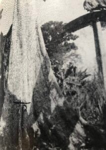 Base: contrforts ailés. Fût: sinueux, cylindrique, long 20 m, diamètre 1 m.