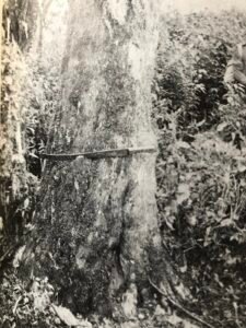 Base: cylindrique.
Fût: droit cylindrique, long 25 m diamètre 1 m.