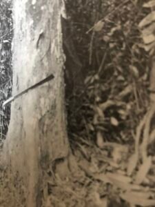 Base: faible empattement.Fût: droit, cylindrique, long 25 m diamètre 1 m.