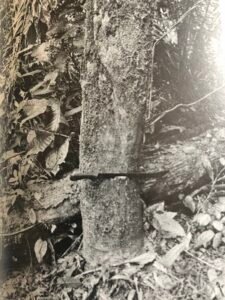 Base: cylindrique.Fût: droit, cylindrique, long 15 m diamètre 0.70 m.