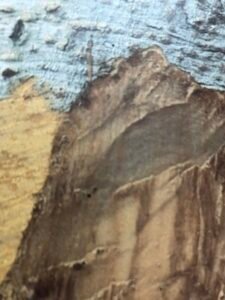 Ecorce: gris clair (ép 2 cm), lisse, marquée de lignes verticales de lenticelles adhérente, tranche cassante, jaune pâle dans la partie externe, fibreuse blanc rosâtre dans la partie interne, qui exsude en abondance un latex très fluide de couleur crème.