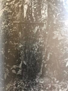 Base: cylindrique. Fût: droit et cylindrique, long 20 m diamètre 1 m.