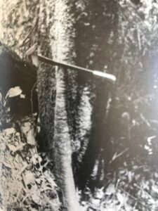 Base: empattemet.Fût: droit et cylindrique, long 25 m diamètre 0.80 m.