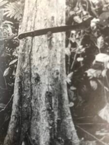 Base: cylindrique jusqu'au sol. Fût: droit et peu cylindrique, long 15 m diamètre 0.60 m.