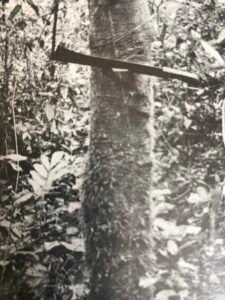 Base: cylindrique.Fût: droit et cylindrique, long 10 m diamètre 0.60 m.